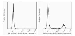 Active Caspase-3 Rabbit anti-Human, Mouse, BV650, Clone: C92-605.rMAb,