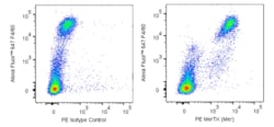 MerTK (Mer) Rat anti-Mouse, PE, Clone: BB14-16, BD Phrmingen 0.1 mg; PE:Antibodies,