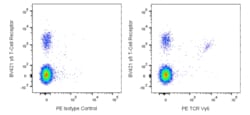 PE Mouse Anti-Mouse TCR V 6, BD Pharmingen:Antibodies:Primary Antibodies