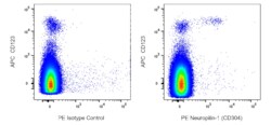 PE Mouse Anti-Human Neuropilin-1 (CD304), BD Pharmingen 25 Tests, PE:Antibodies,