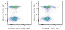 RB705 Mouse Anti-Human FoxP3, BD Horizon:Antibodies:Primary Antibodies