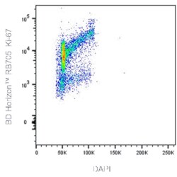 RB705 Mouse Anti-Ki-67, BD Horizon 100 Tests, RB705:Antibodies, Monoclonal