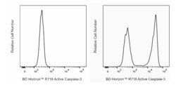 R718 Rabbit Anti-Active Caspase-3, BD Horizon:Antibodies:Primary Antibodies