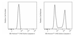 V450 Rabbit Anti-Active Caspase-3, BD Horizon 25 &mu;g, V450:Antibodies,