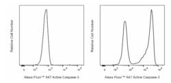 Alexa Fluor 647 Rabbit Anti-Active Caspase-3, BD Pharmingen 0.1 mg, Alexa