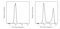 FITC Rabbit Anti-Active Caspase-3, BD Pharmingen 25 &mu;g, FITC:Antibodies,