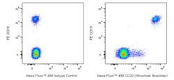 Alexa Fluor 488 Biosimilar Anti-Human CD20 Rituximab297, BD Pharmingen