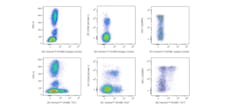 BV480 Mouse Anti-Human TIGIT, BD Horizon:Antibodies:Primary Antibodies