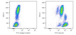 FITC Mouse Anti-Human HLA-A3, BD Pharmingen 0.1 mg, FITC:Antibodies, Monoclonal