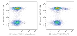 RB744 Mouse Anti-Human FoxP3, BD Horizon:Antibodies:Primary Antibodies