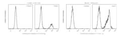 Purified Rabbit Anti-Active Caspase-3, BD Pharmingen 25 &mu;g, Purified:Antibodies,