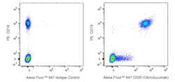 Alexa Fluor 647 Biosimilar Anti-Human CD20, BD Pharmingen:Antibodies:Primary