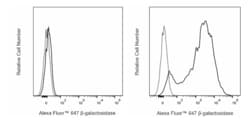 Alexa Fluor 647 Rat Anti- -galactosidase, BD Pharmingen:Antibodies:Primary