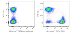 RB744 Rat Anti-Mouse CD19, BD Horizon:Antibodies:Primary Antibodies