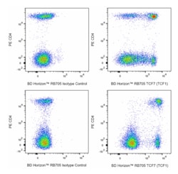RB705 Mouse Anti-TCF7 (TCF1), BD Horizon:Antibodies:Primary Antibodies