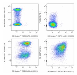 RB705 Mouse Anti-Human LAG-3 (CD223), BD Horizon:Antibodies:Primary Antibodies