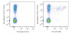PE Mouse Anti-Mouse TCR V 6B, BD Pharmingen 25 &mu;g, PE:Antibodies, Monoclonal