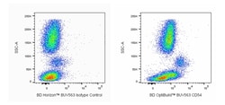 CD54 Mouse anti-Human, BUV563, Clone: HA58, BD Biosciences 50 &mu;g; BUV563:Antibodies,