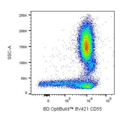 CD55 Mouse anti-Human, BV421, Clone: IA10, BD Biosciences 50 &mu;g; BV421:Antibodies,