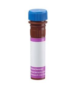 BD Biosciences CD62L Armenian Hamster anti-Rat, BV421, Clone: HRL1, BD OptiBuild™