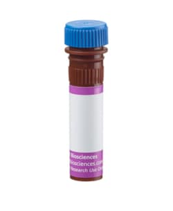 BD Biosciences&nbsp;&gamma;&delta; TCR Mouse anti-Human, BV421, Clone: 11F2, BD OptiBuild&trade;