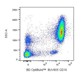 CD16 Mouse anti-Human, BUV805, Clone: 3G8, BD Biosciences 50 &mu;g; BUV805:Antibodies,