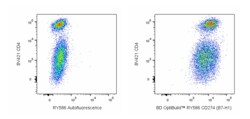 CD274 Rat anti-Mouse, RY586, Clone: MIH5, BD OptiBuild 50 &mu;g; RY586:Antibodies,