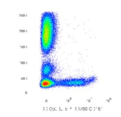 RB780 Mouse Anti-Human CD161 (KLRB1), BD OptiBuild 50 &mu;g, RB780:Antibodies,