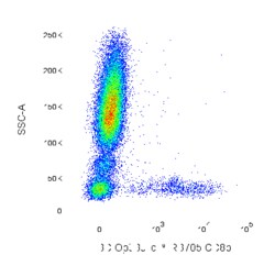 RB705 Mouse Anti-Human CD8b, BD OptiBuild 50 &mu;g, RB705:Antibodies, Monoclonal