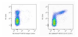 RB705 Rat Anti-Mouse CD197 (CCR7), BD OptiBuild 50 &mu;g, RB705:Antibodies,