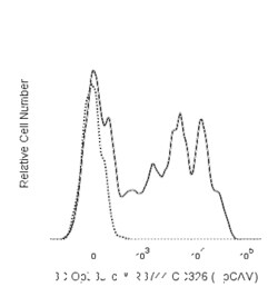 RB744 Rat Anti-Mouse CD326 (EpCAM), BD OptiBuild 50 &mu;g, RB744:Antibodies,