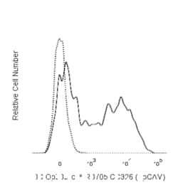 RB705 Rat Anti-Mouse CD326 (EpCAM), BD OptiBuild 50 &mu;g, RB705:Antibodies,