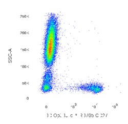 RB705 Mouse Anti-Human CD27, BD OptiBuild 50 &mu;g, RB705:Antibodies, Monoclonal