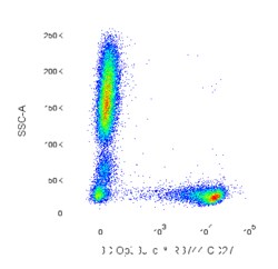 RB744 Mouse Anti-Human CD27, BD OptiBuild 50 &mu;g, RB744:Antibodies, Monoclonal