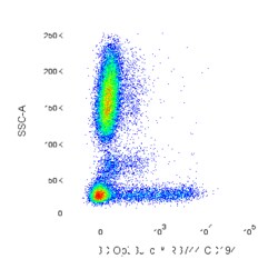 RB744 Mouse Anti-Human CD194, BD OptiBuild 50 &mu;g, RB744:Antibodies,