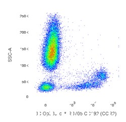 RB705 Mouse Anti-Human CD192 (CCR2), BD OptiBuild 50 &mu;g, RB705:Antibodies,