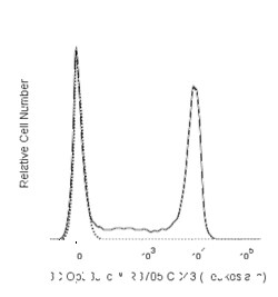RB705 Rat Anti-Mouse CD43 (Leukosialin), BD OptiBuild 50 &mu;g, RB705:Antibodies,