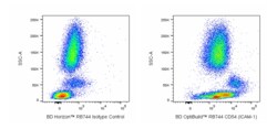 RB744 Mouse Anti-Human CD54 (ICAM-1), BD OptiBuild 50 &mu;g, RB744:Antibodies,