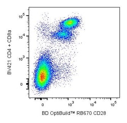 RB670 Hamster Anti-Mouse CD28, BD OptiBuild 50 &mu;g; RB670:Antibodies,
