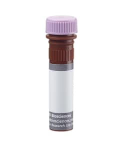 TIGIT Mouse anti-Human, BUV395, Clone: 741182, BD OptiBuild 50 &mu;g; BUV395:Antibodies,
