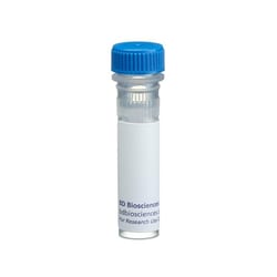 RR688 Mouse Anti-Human CD146, BD OptiBuild&trade;