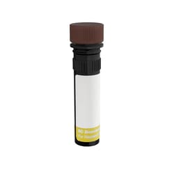 FoxP3, Mouse Anti-Human, RB613, Clone: 259D/C7, BD Horizon:Antibodies:Primary