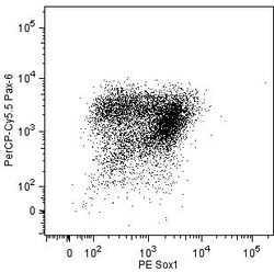 Pax-6 Mouse anti-Human, PerCP-Cy5.5, Clone: O18-1330, BD 50 tests; PerCP-Cy5.5:Antibodies,