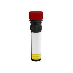 RY655 Mouse Anti-Human CD223 (LAG-3), BD Horizon 25 Tests | Buy Online | BD Biosciences | Fisher Scientific