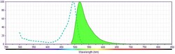 CD133 Mouse anti-Human, FITC, Clone: W6B3C1 (also known as W6B3), BD Pharmingen