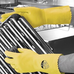 BM Polyco Optima Rubber Gloves 8, 8.5 | Buy Online | BM Polyco&trade; | Fisher Scientific