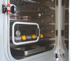 BINDER&trade;&nbsp;Quick Sample Access