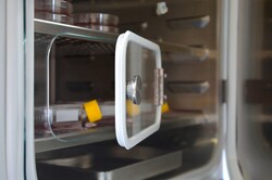 BINDER Quick Sample Access BINDER Units CB 260, CBF 260 | Buy Online | BINDER&trade; | Fisher Scientific