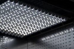 Binder Instalación del módulo de luz LED para plantas 1 día | Buy Online | Binder | Fisher Scientific