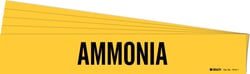 Brady™ Ammonia Pipe Marker, Style 1
